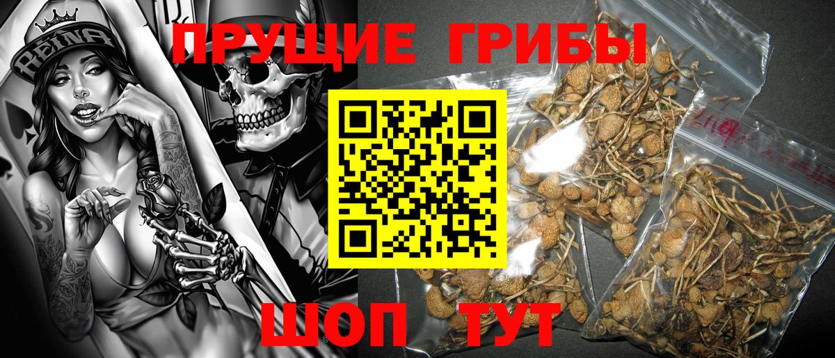 Псилоцибиновые грибы мухоморы Мариинск